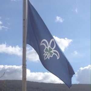 scouts-flag