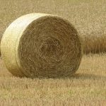 Round Bale Decorating Competition 2017
